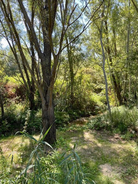 Vente Maison 155 m² à Crillon-le-Brave 880 000 € - Photo 5