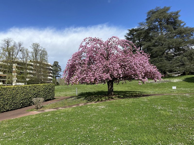 Appartement à vendre, 2 pièces, 61 m², Ecully