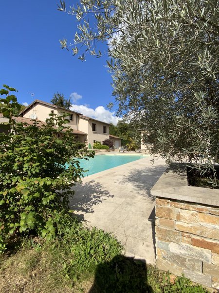 Vente Maison 225 m² à Frans 670 000 € - Photo 3