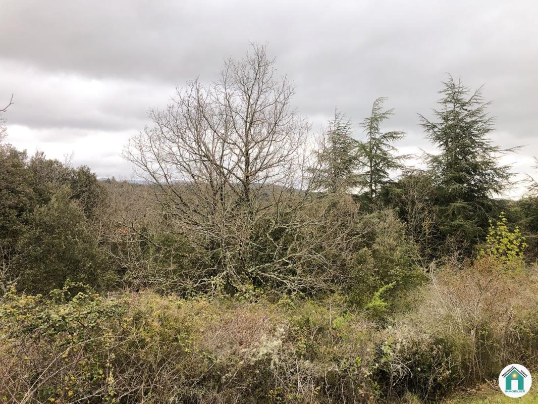 Terrain - 3108m ²