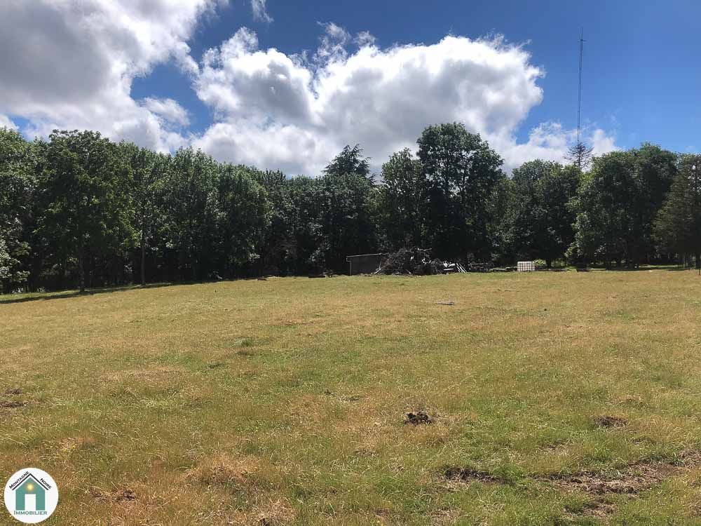 Terrain - 2931m ²