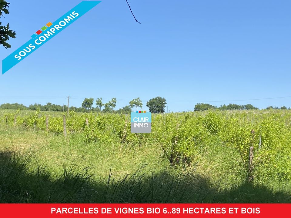 Parcelles de vignes bio et terrain boisé 6.89 hectares dans le