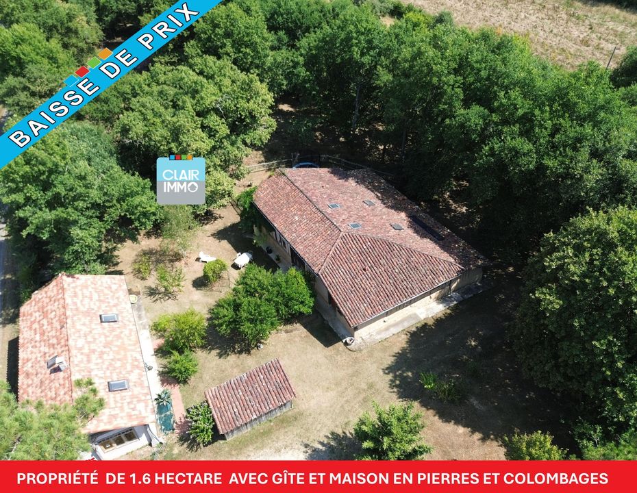 Maison à vendre, 10 pièces, 254 m², Labastide D Armagnac