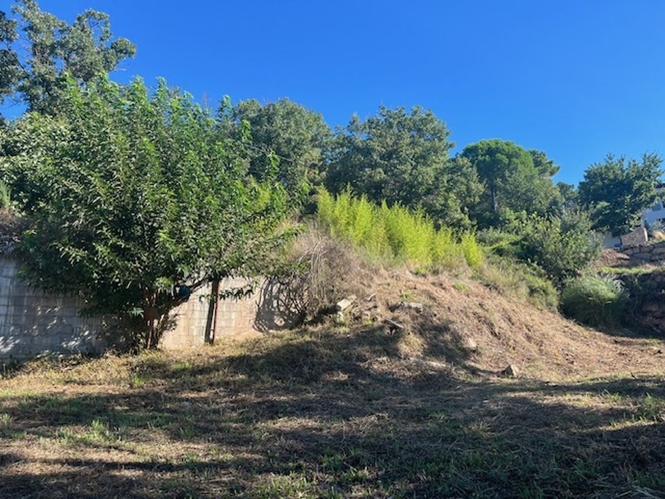 Terrain