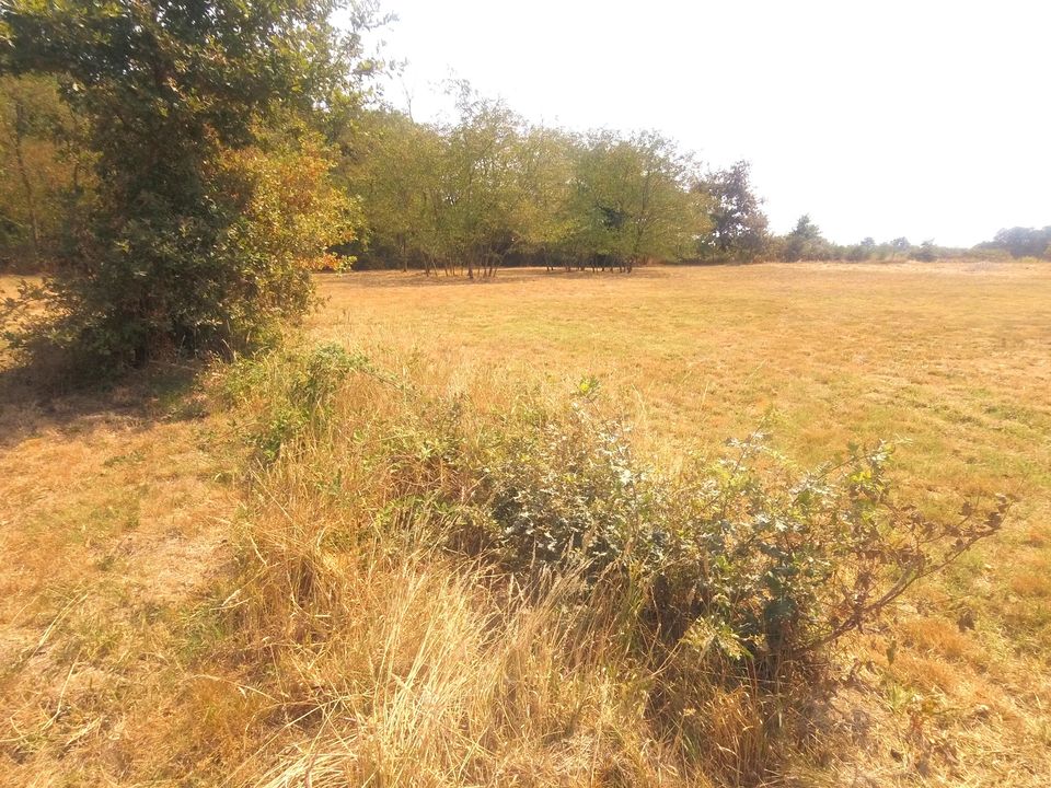 TERRAIN DE 3682 m² dont 2168 m² constructible CU , Bornage