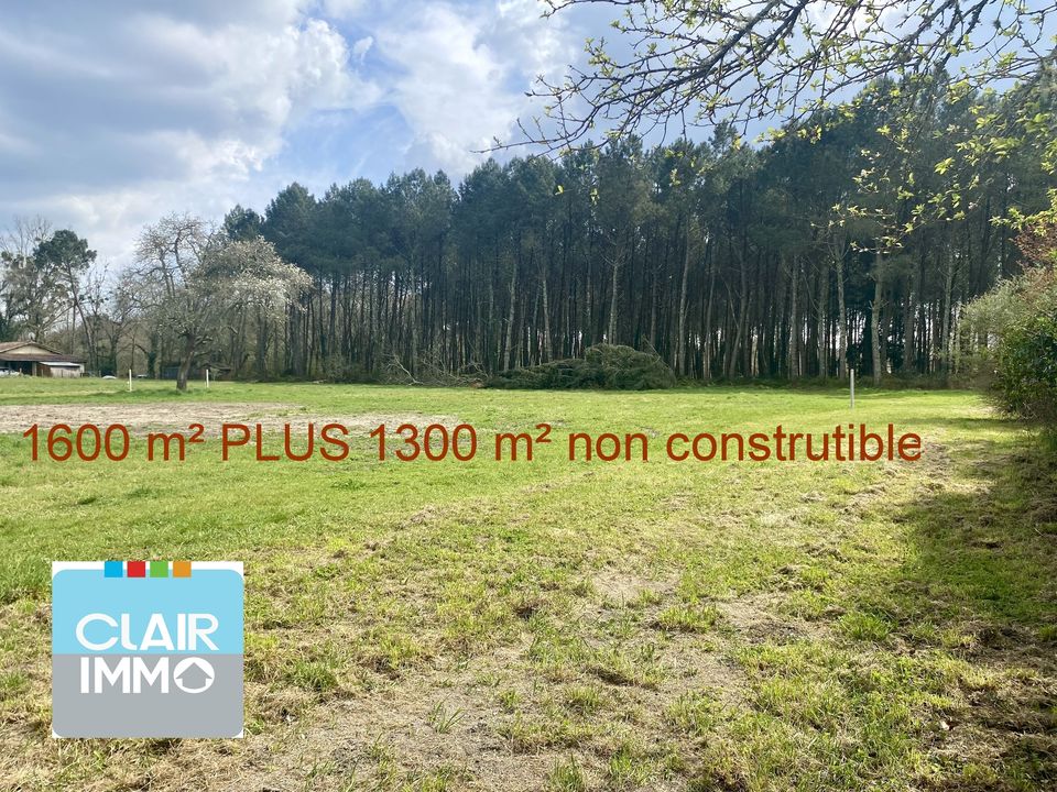 TERRAIN VIABILISE 1600 m² - lot 2 - PLUS 1300 m² non