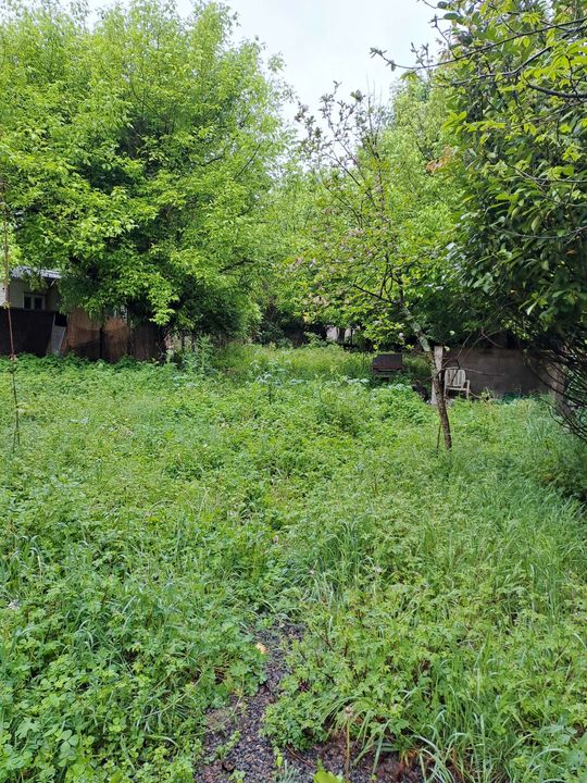 MAISON EYSINES TYPE T3 AVEC JARDIN - Photo 5