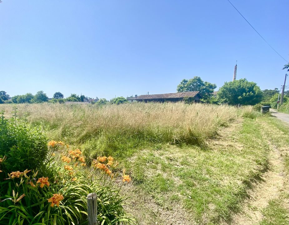20 MN  BAZAS TERRAIN CONSTRUCTIBLE 3100 M²