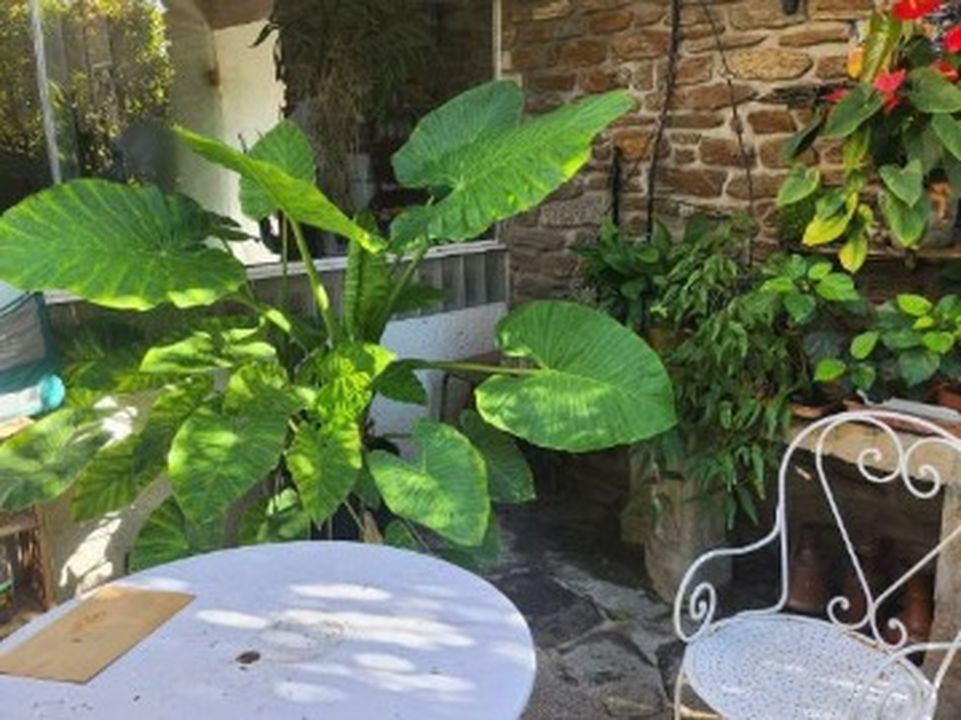 Vente Villa - Photo 2