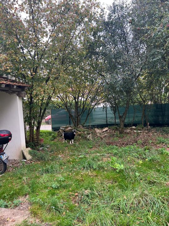 Maison à vendre à Viels-Maisons - Photo 5