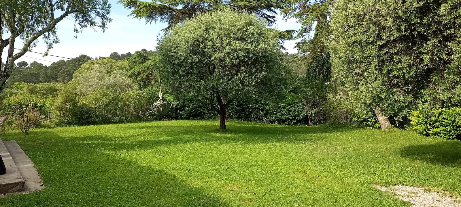 MAS du XVIIIe siècle , Piémont Cévenol , 2 700 m² de - Photo 2