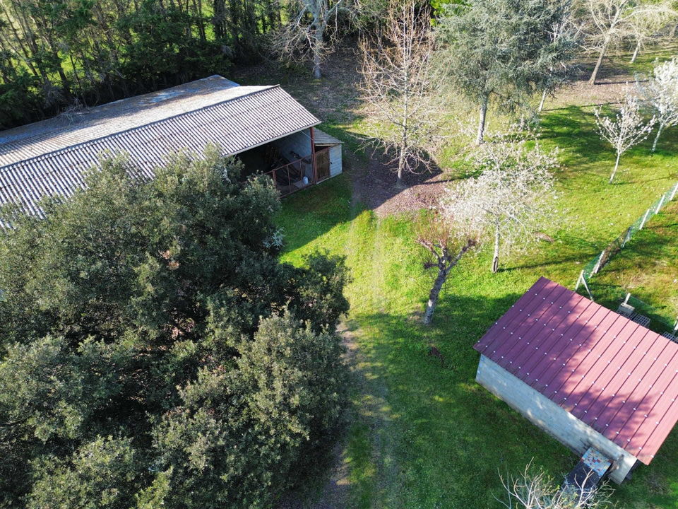 Maison de 101 m²  4 chambres, hangar 185 m², chai en pierres - Photo 3