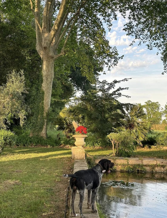 EXCLUSIVITÉ : Domaine d exception 'Mas de Bellombre' - Photo 3