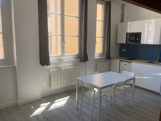 Appartement à louer, 1 pièces, 26 m², Lyon 5eme Arrondissement