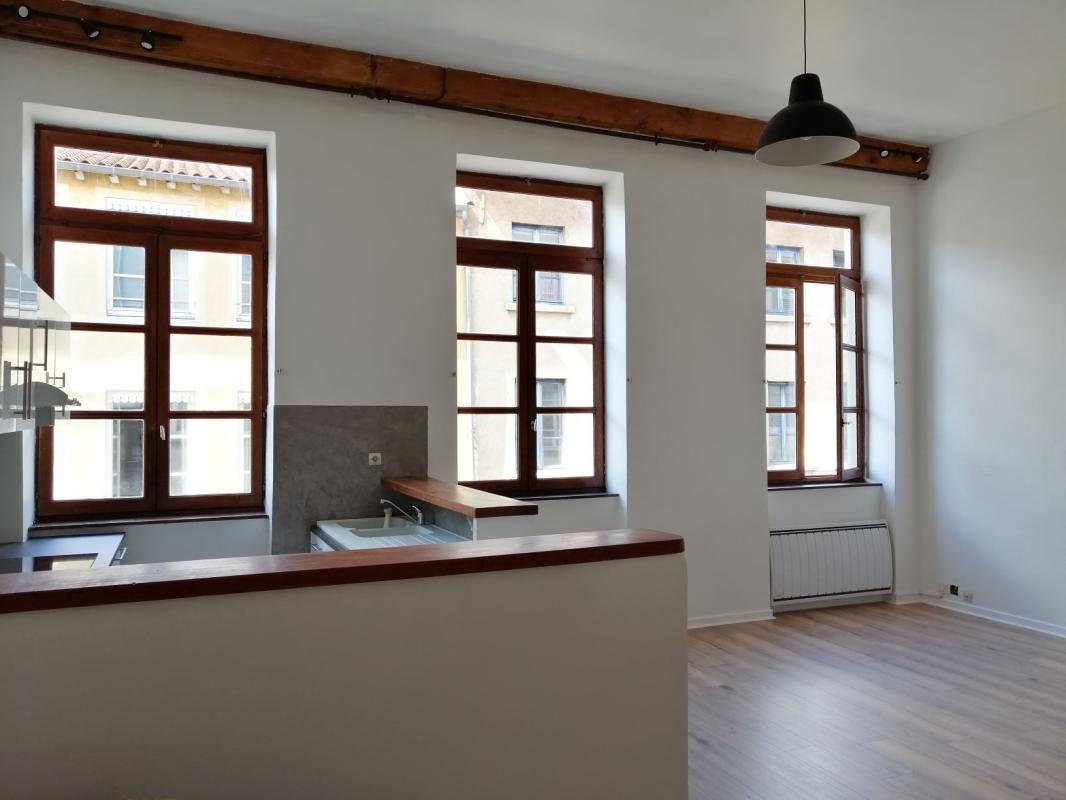 Appartement à louer, 2 pièces, 54 m², Lyon 5eme Arrondissement