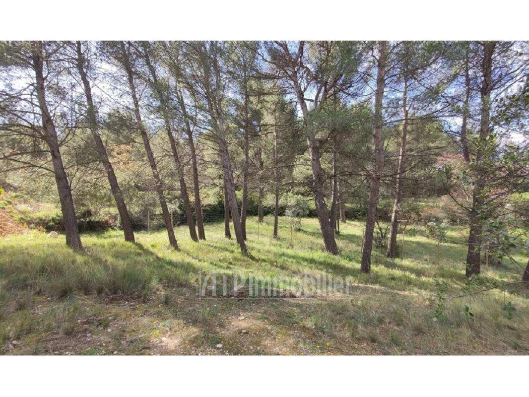 Terrain - 1000m ²