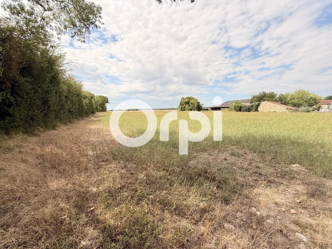 Terrain À Vendre