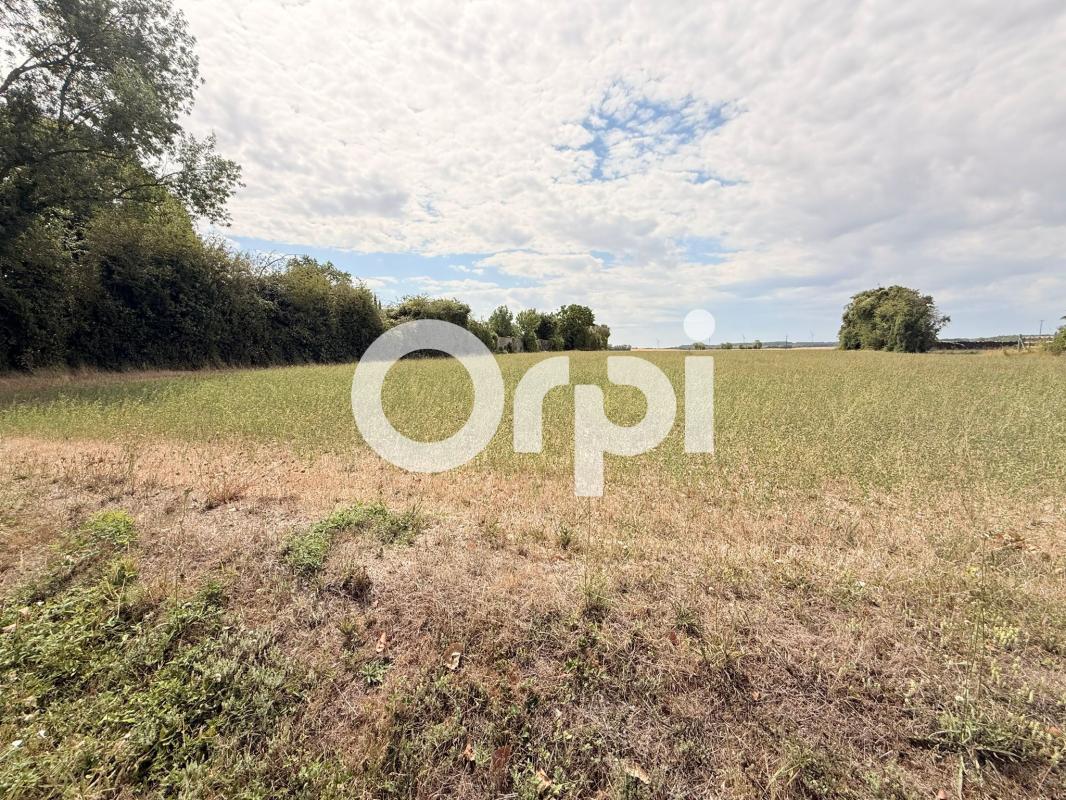Terrain À Vendre
