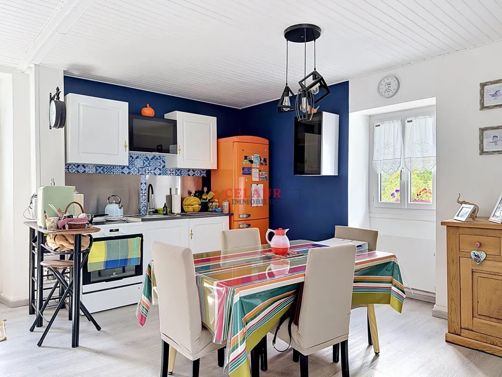 TRES JOLIE RENOVATION AVEC TERRAIN ET VUE MONTAGNES