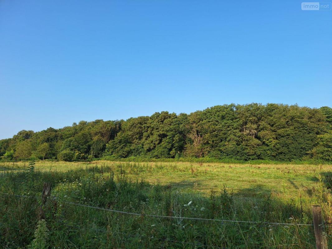 Terrain à bâtir
