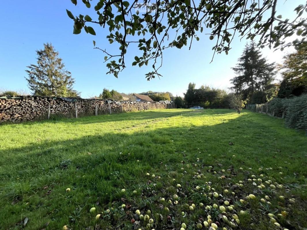 Terrain à bâtir
