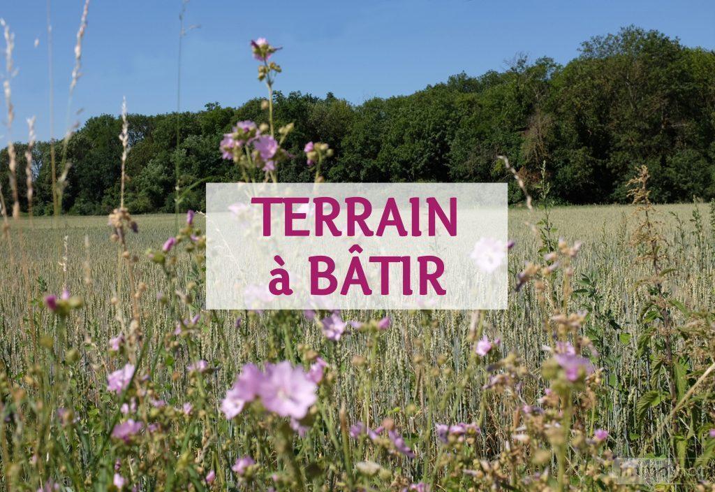 Terrain à bâtir