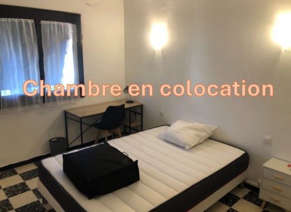 Appartement à louer, 1 pièces, 80 m², Perpignan