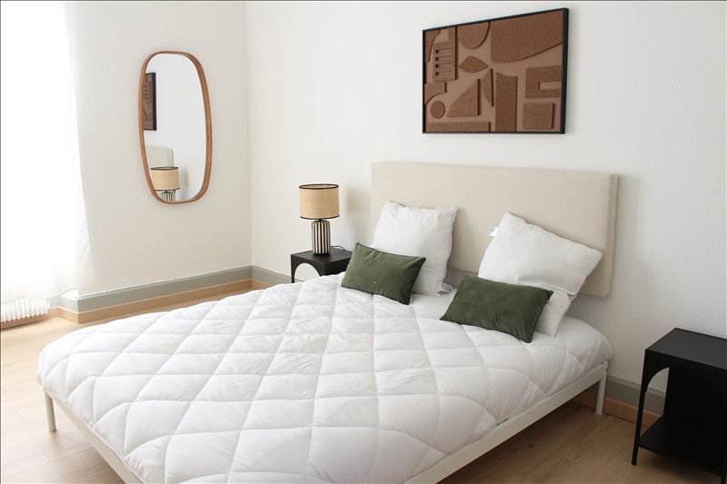 Appartement à louer, 2 pièces, 42 m², 68300 Saint Louis