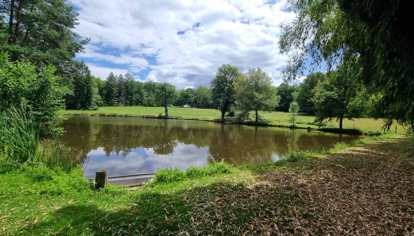 Etang de 3700m² sur 42970m² boisés