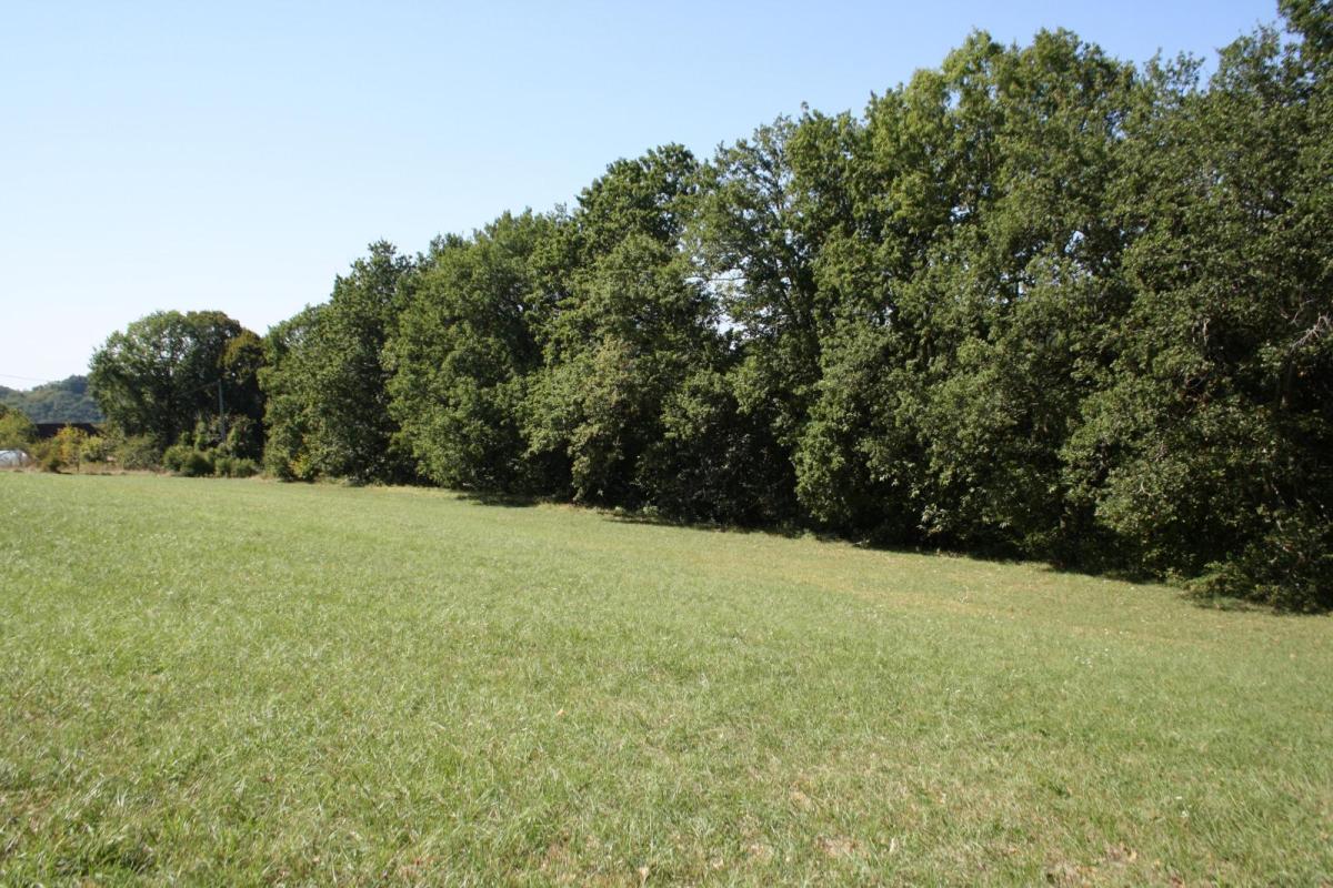 Beau terrain de 7000m² constructible sur 5000m² environ à 10 minutes de toutes commodités