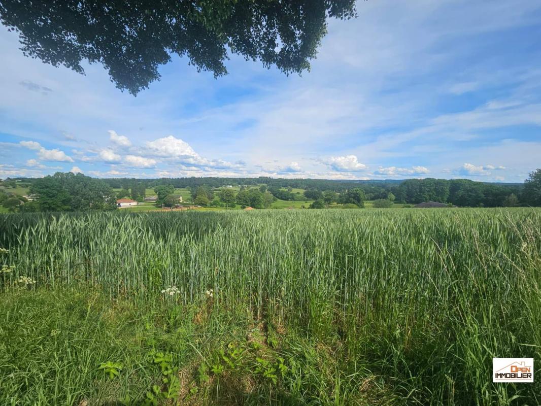 Terrain borné et viabilisé avec vue