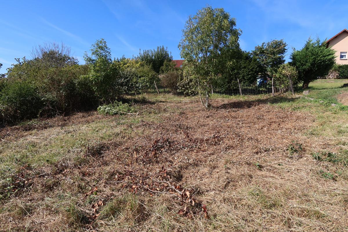 Terrain Pouilley Les Vignes - Photo 3