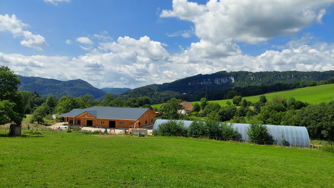 Maison à vendre, 12 pièces, 1000 m², Montbeliard