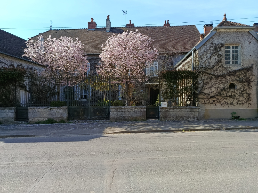 Maison bourgeoise de 390 m2 à saisir sans tarder - Photo 2