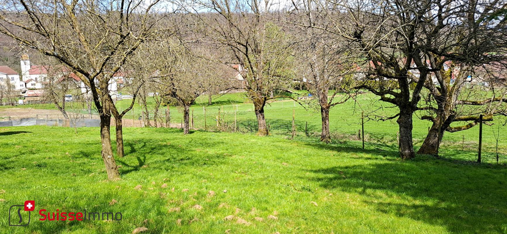 Maison à vendre, 12 pièces, 310 m², Valonne