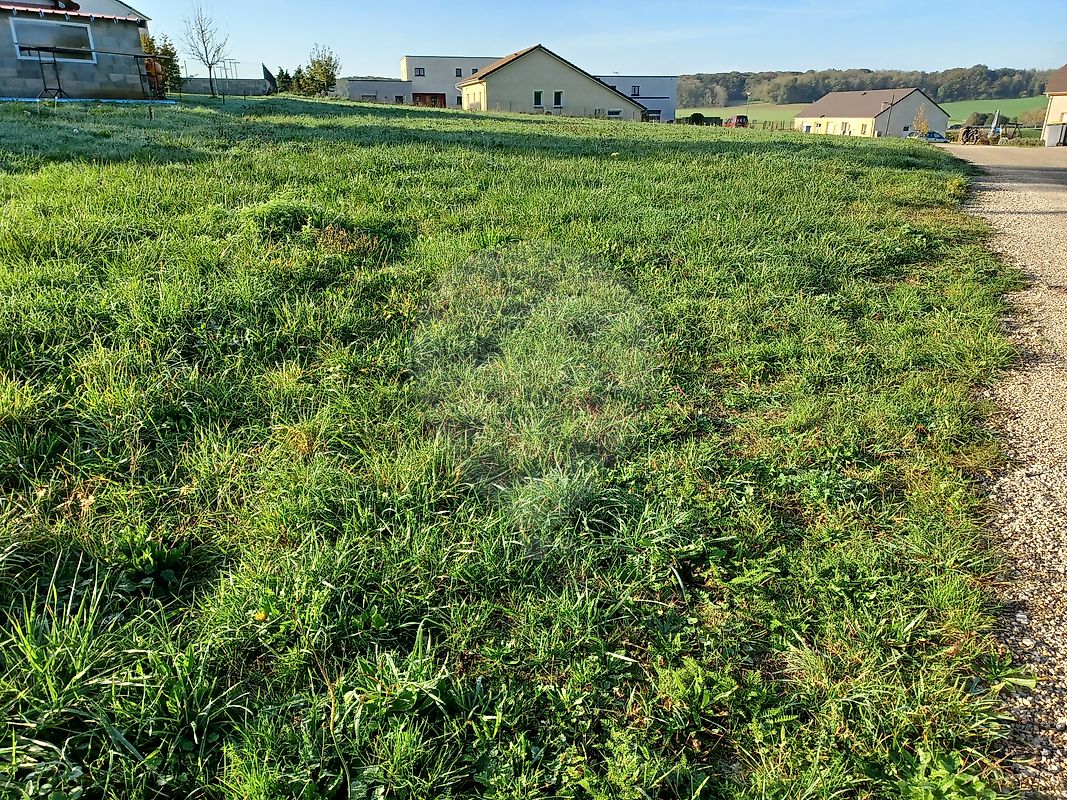Terrain à vendre