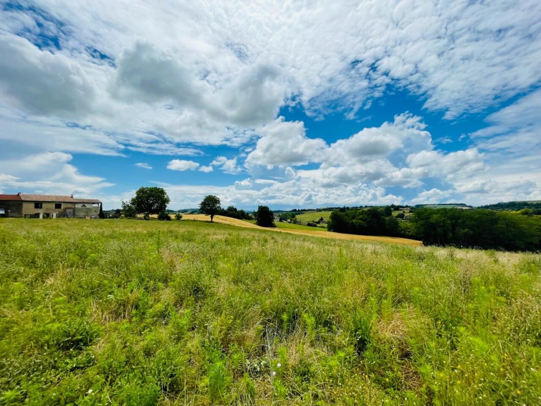 EXCLUSIVITE - TERRAINS LIBRE DE CONTRUCTION