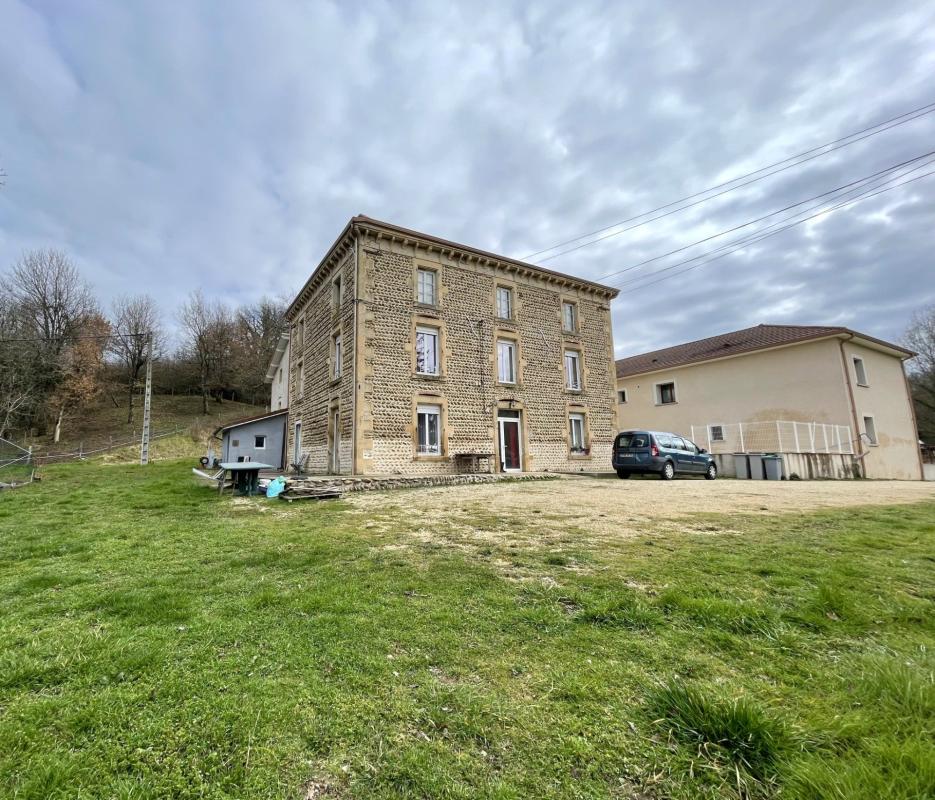 Maison à vendre, 7 pièces, 275 m², Hauterives