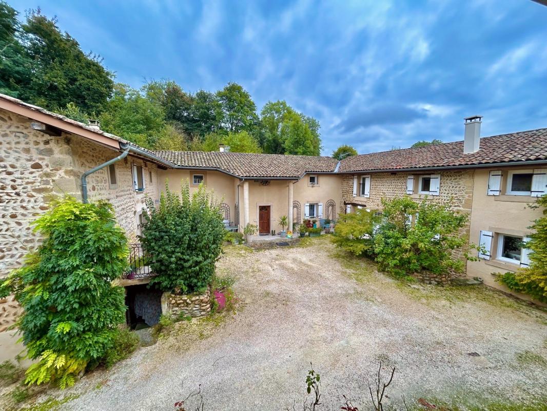 Maison à vendre, 10 pièces, 391 m², Beausemblant