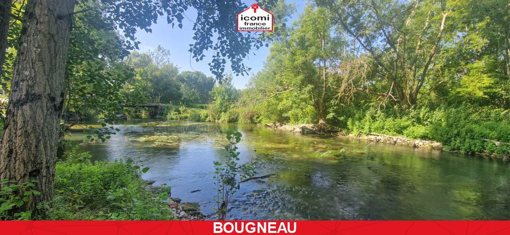 CHARENTE-MARITIME - Bougneau (17800) - A VENDRE - PROPRIETE DE +800² SUR 1.5HA - AMENAGEMENT ACTUEL 1 DUPLEX ET 2 APT INVITES  - CARRIERE - DEPENDANCE - AUTHENTICITE - CHARME - RARE