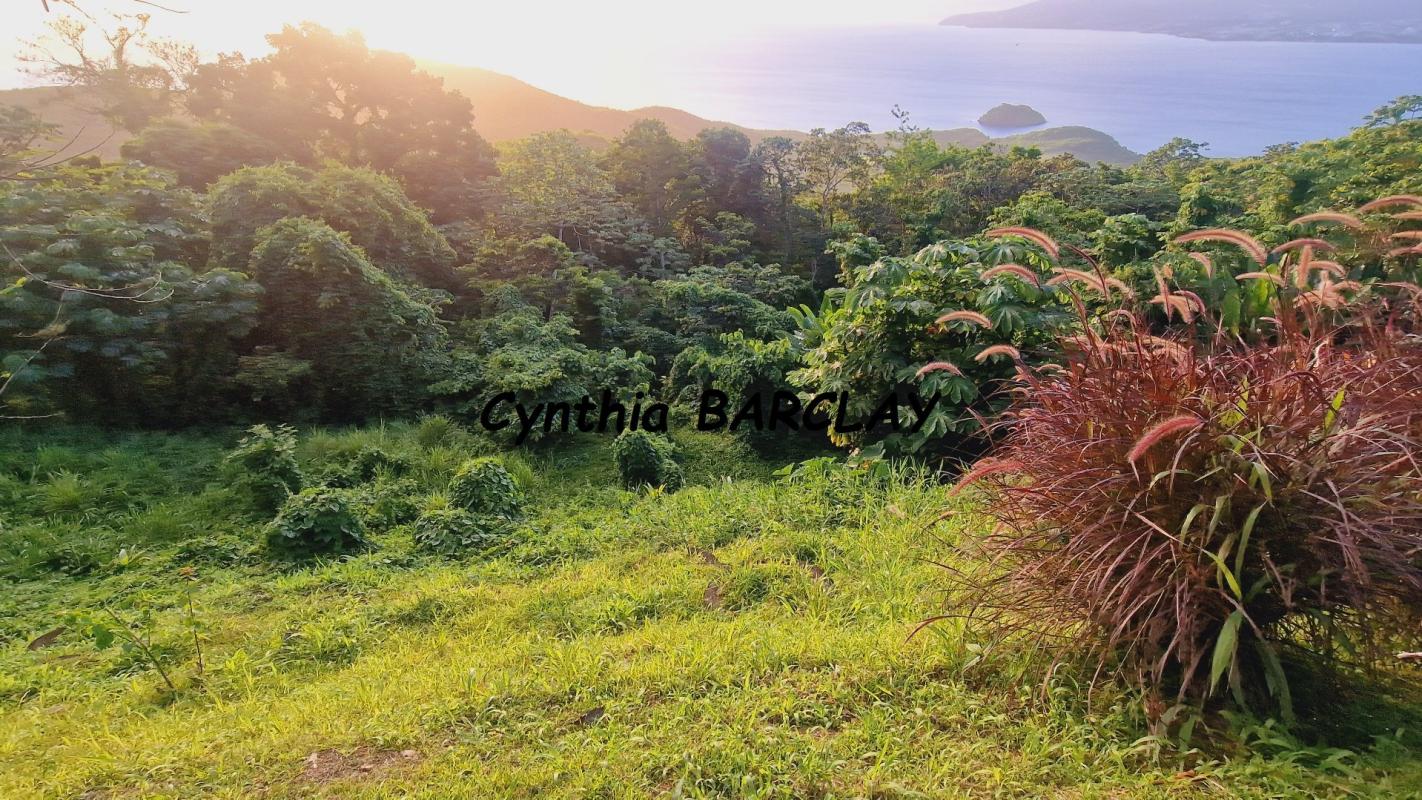 Villa - Photo 2