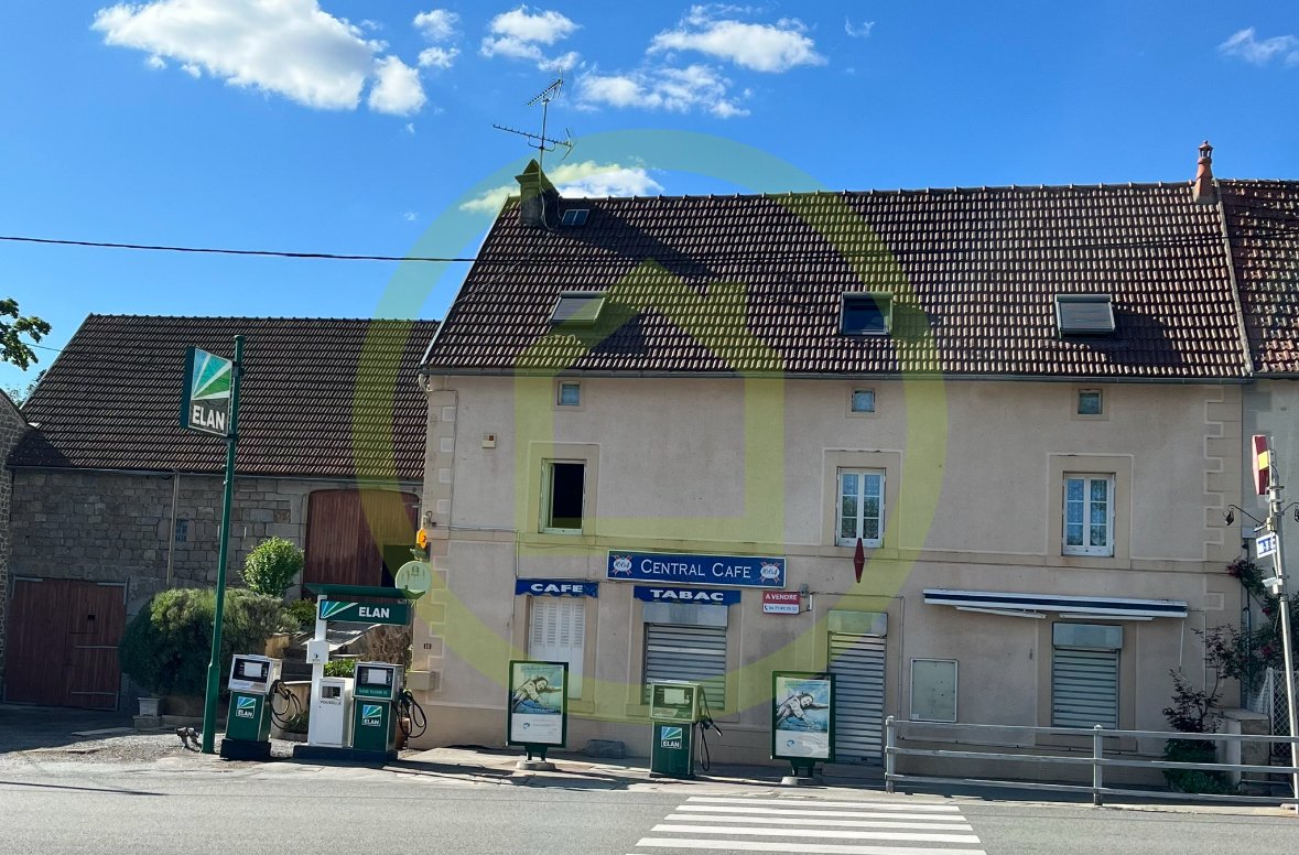 Maison à vendre, 7 pièces, 290 m², La Villetelle