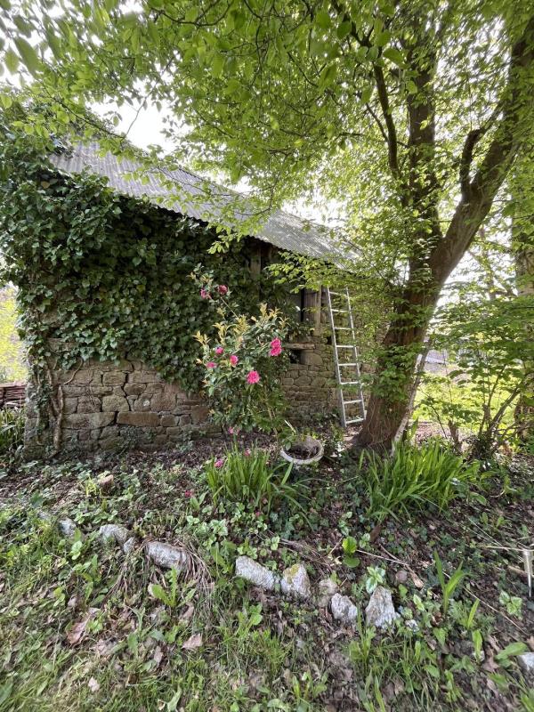 Maison - Photo 3