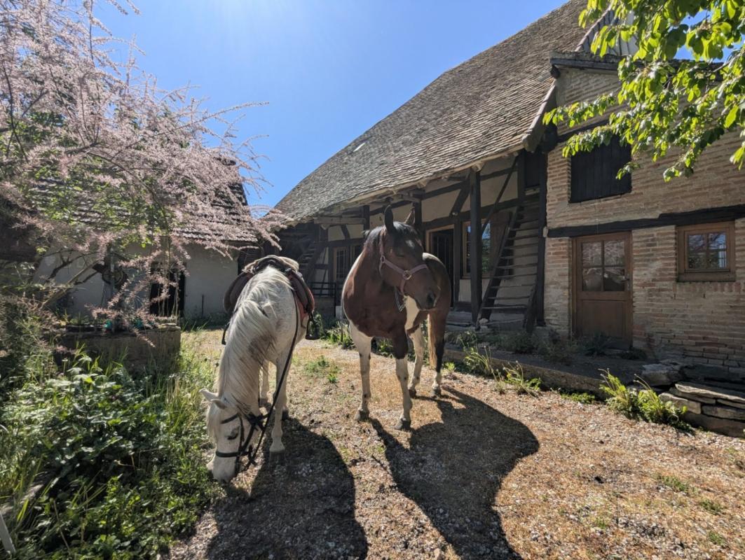 Maison à vendre, 2 pièces, 90 m², Verdun Sur Le Doubs