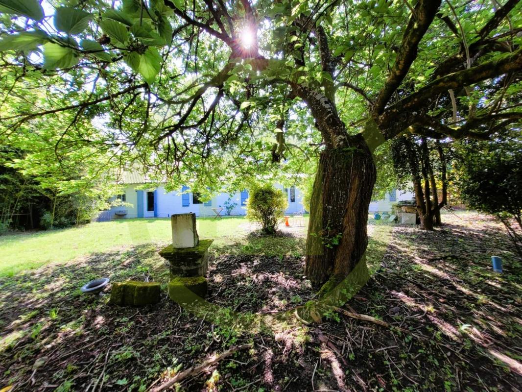 Maison - Photo 4