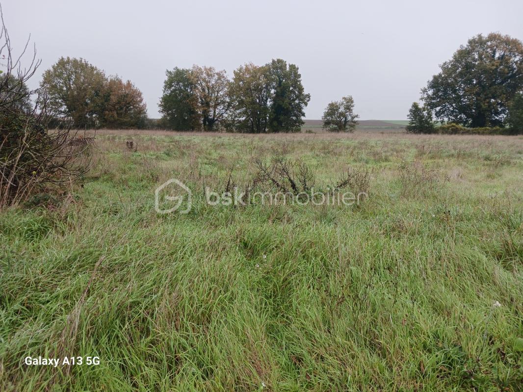 À vendre – Terrain constructible de 2 590 m² à Doussay (proche Lencloître)