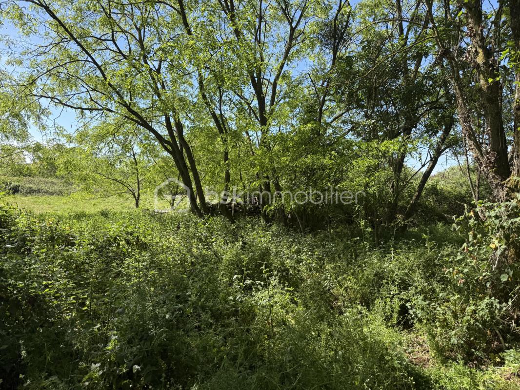 Le Mans – Grande parcelle non constructible de 10 138 m²