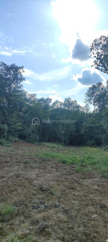 VENDS TERRAIN DE 14982 M2 DE FORET DONT 2079 M2 CONTRUCTIBLE !
