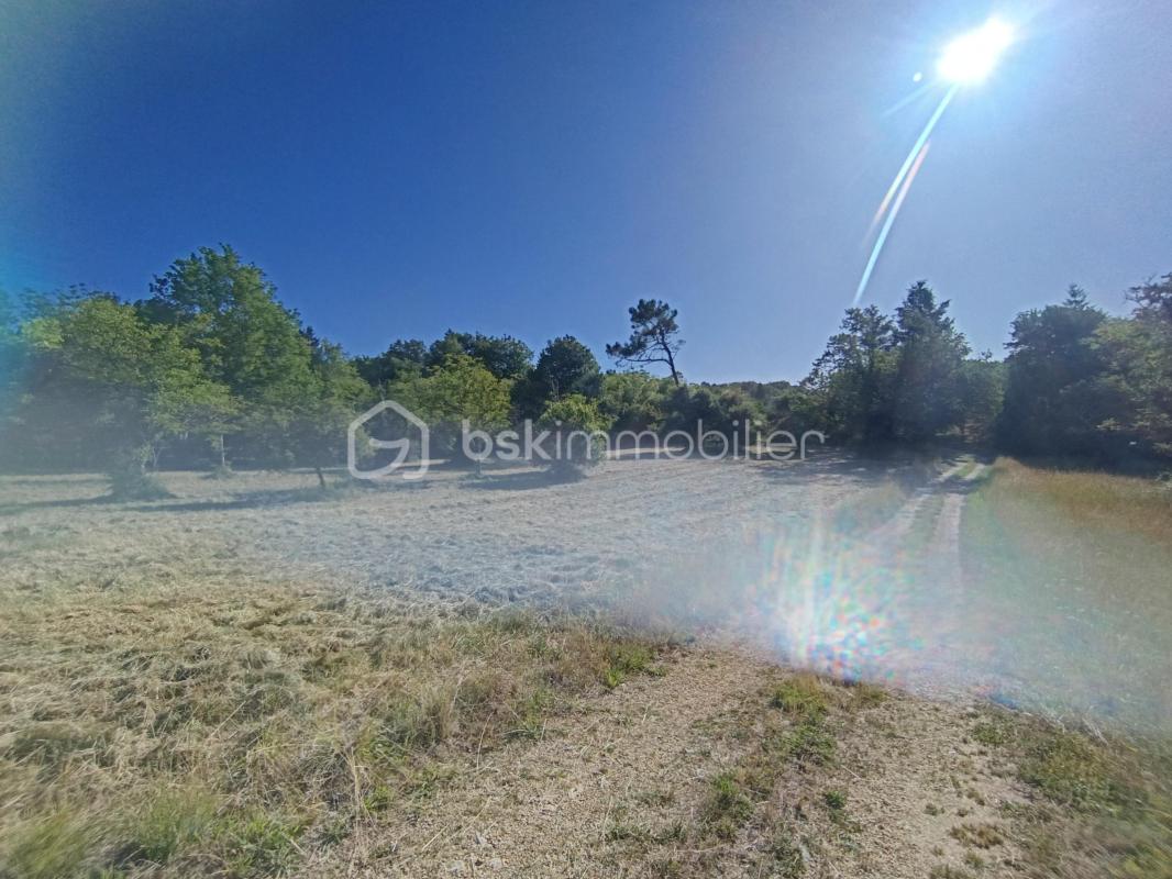 Superbe terrain arboré au calme – 4190 m² – Tourtoirac