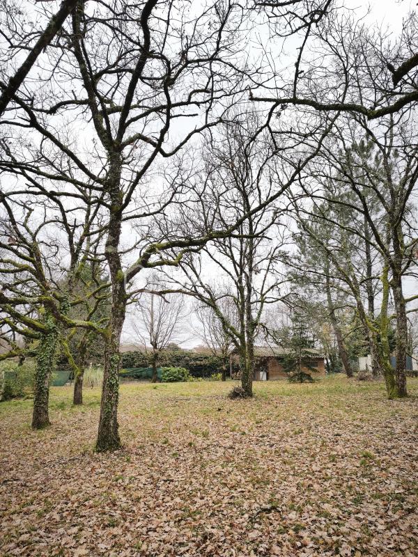 VENDS TERRAIN CONSTRUCTIBLE DE 901 M2 A BOULOC